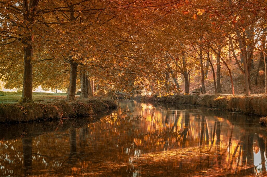 A scenic view of Castellón de la Plana, Spain