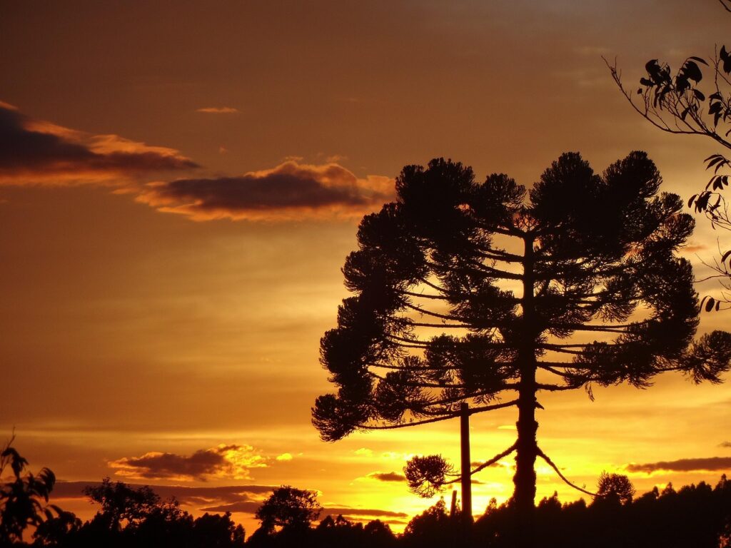 A scenic view of Caxias do Sul, Brazil
