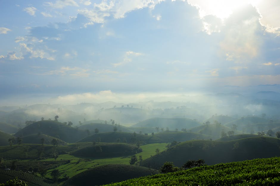A scenic view of Chula Vista, United States of America