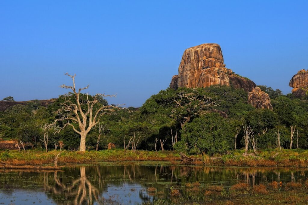A scenic view of Daboya, Ghana