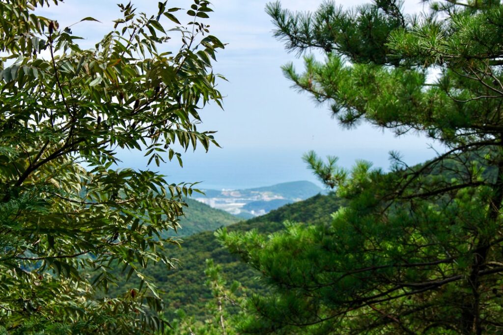 A scenic view of Jeju Island, South Korea
