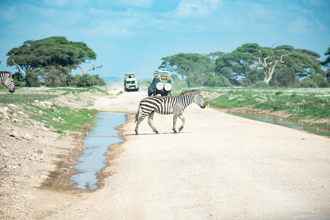 Traveltips for Mpanda Tanzania