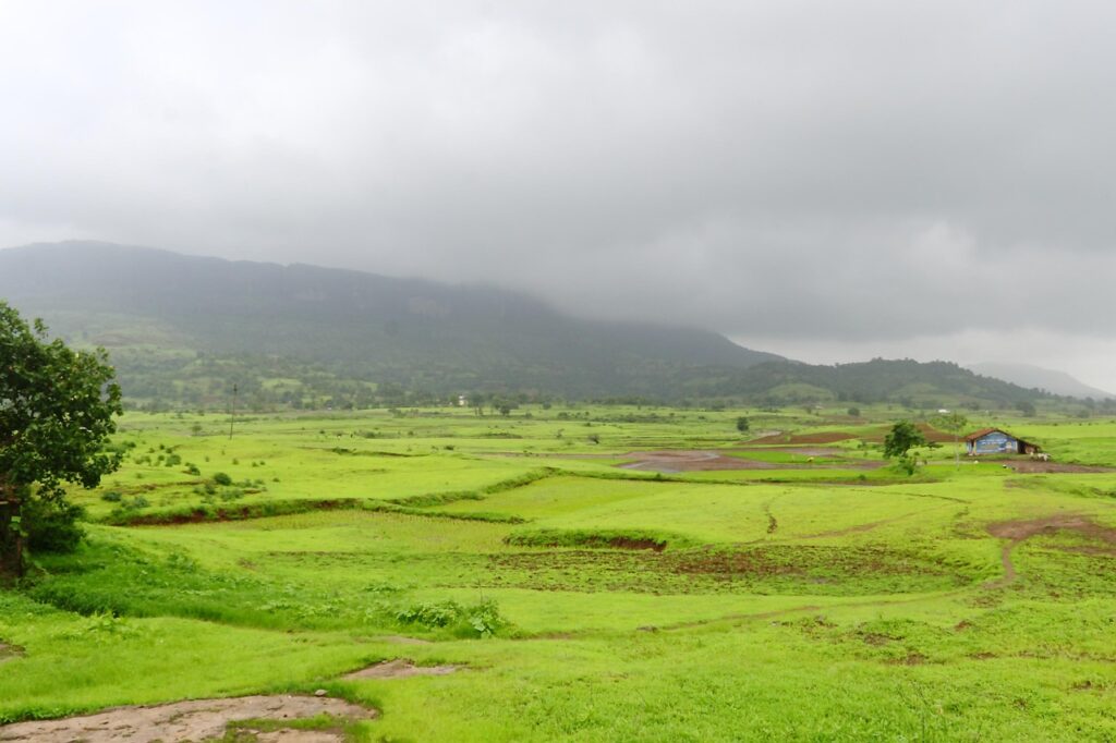 A scenic view of Nashik, India