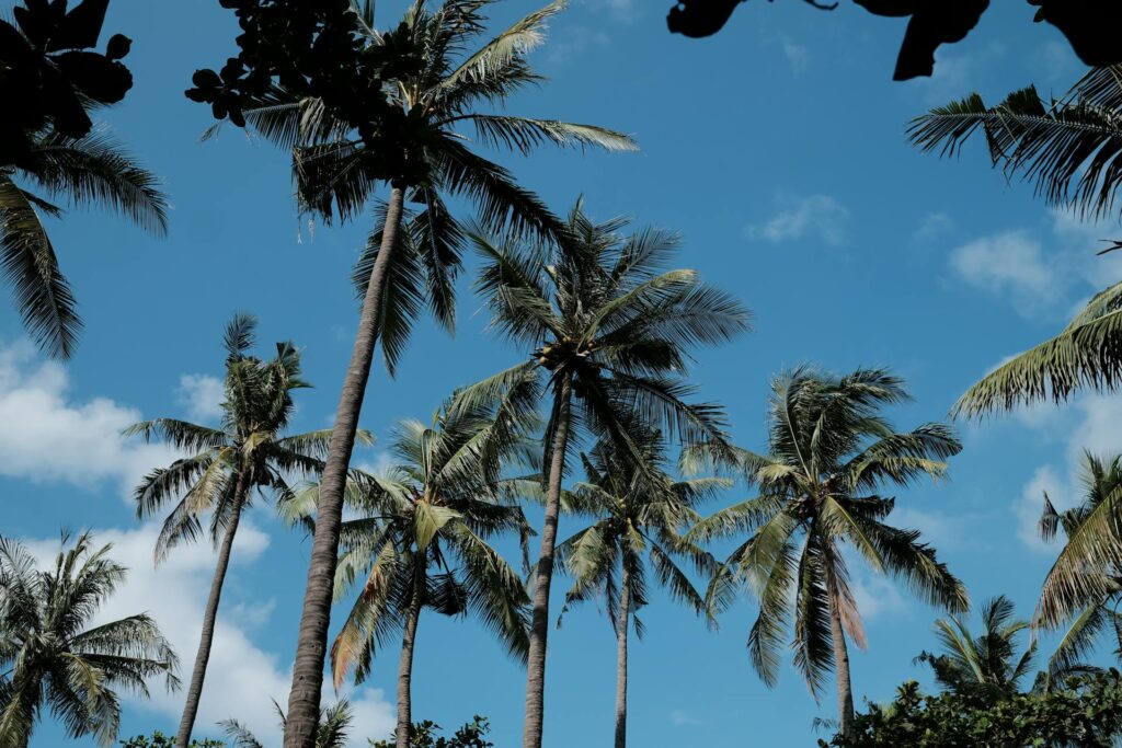 Traveltips for Seram, Indonesia