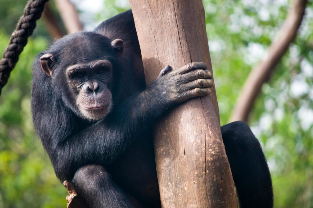 Traveltips for Freetown, Sierra Leone