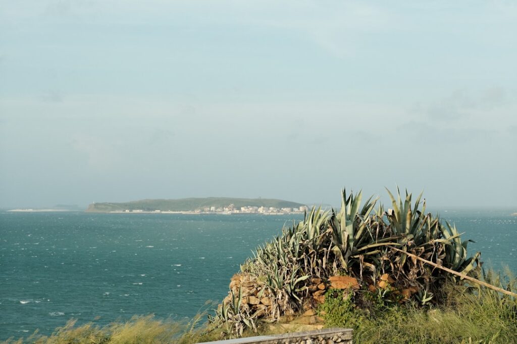 A scenic view of Puerto Vallarta, Mexico