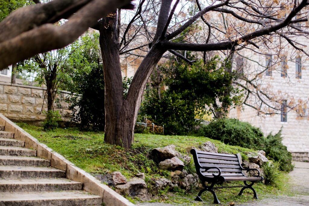 A scenic view of Ramallah, Palestine