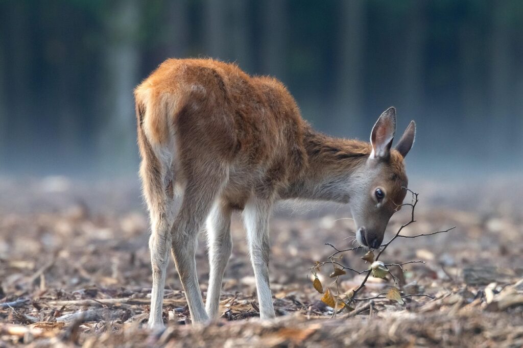A scenic view of Red Deer, Canada