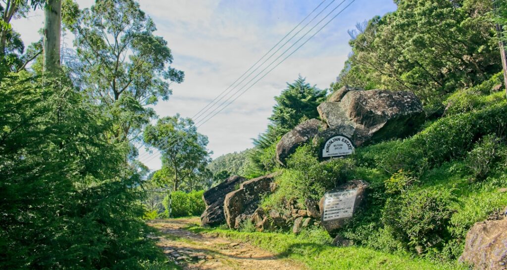 A scenic view of Savu, Indonesia