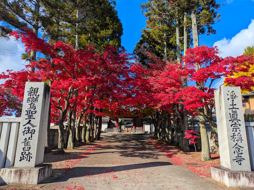 A scenic view of Sendai, Japan