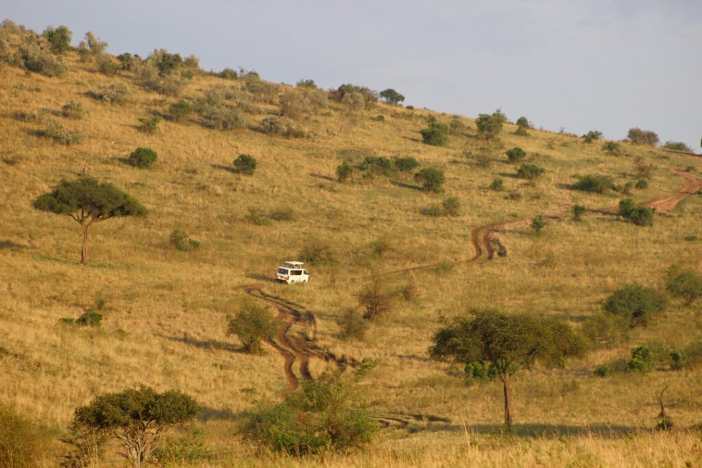 A scenic view of Serengeti, Tanzania