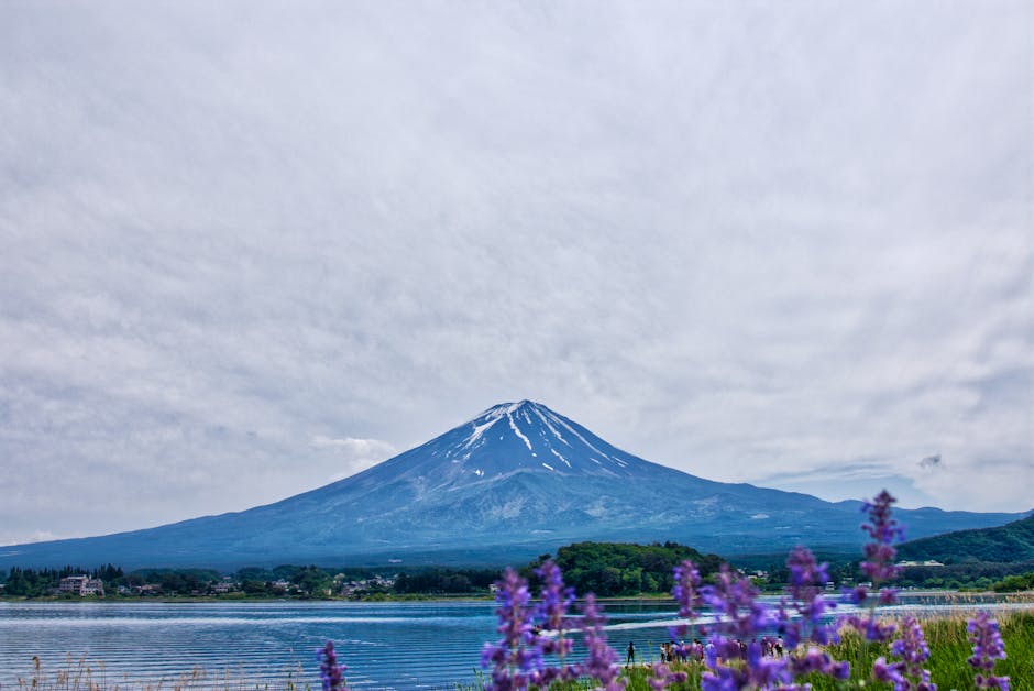 A scenic view of Shizuoka, Japan