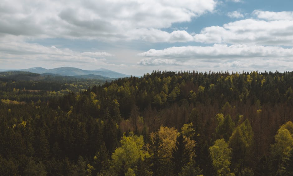A scenic view of Sterling Heights, United States of America