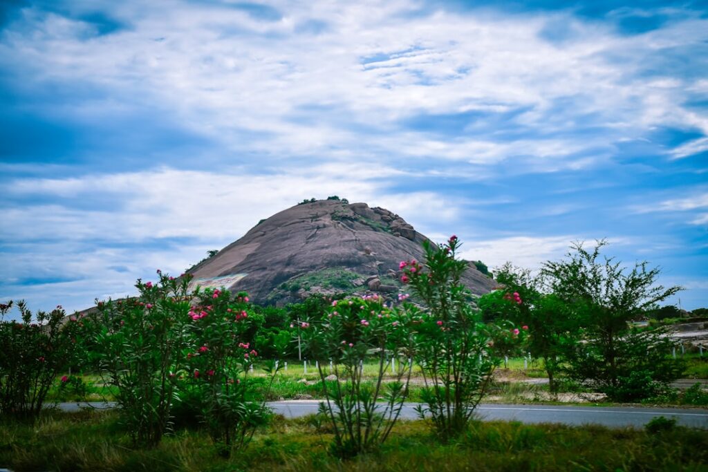 A scenic view of Thiruvananthapuram, India