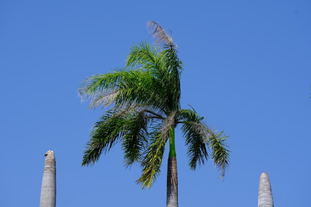 A scenic view of West Palm Beach, United States of America