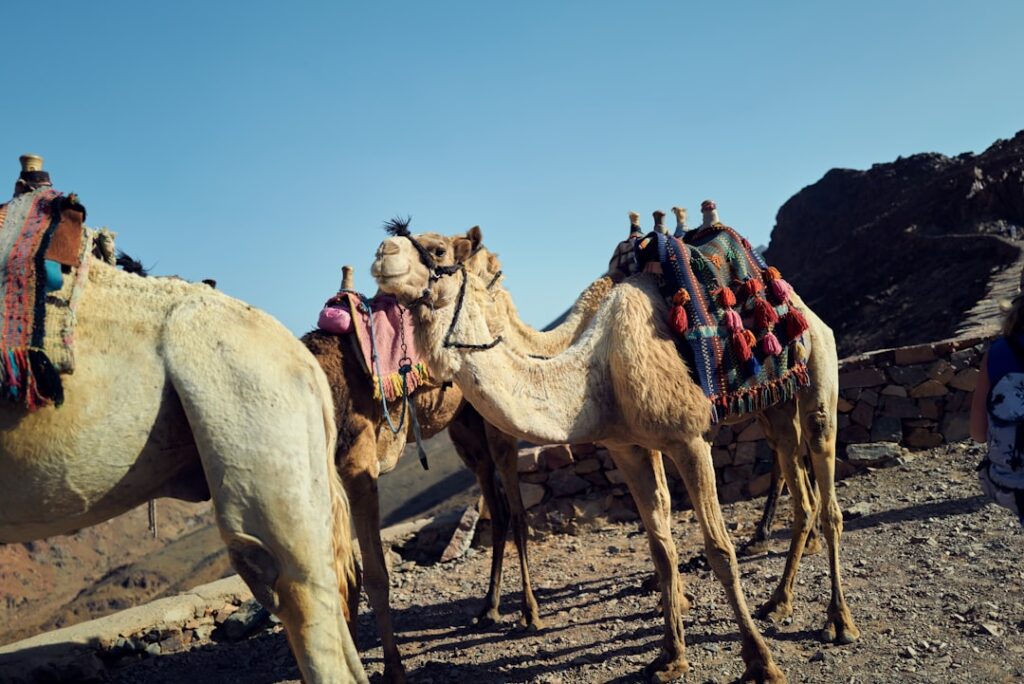 A scenic view of Boumalne Dades, Morocco