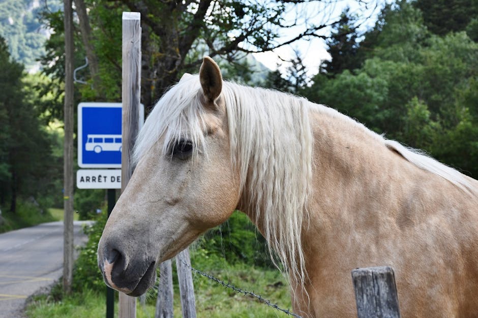 A scenic view of Clermont-Ferrand, France