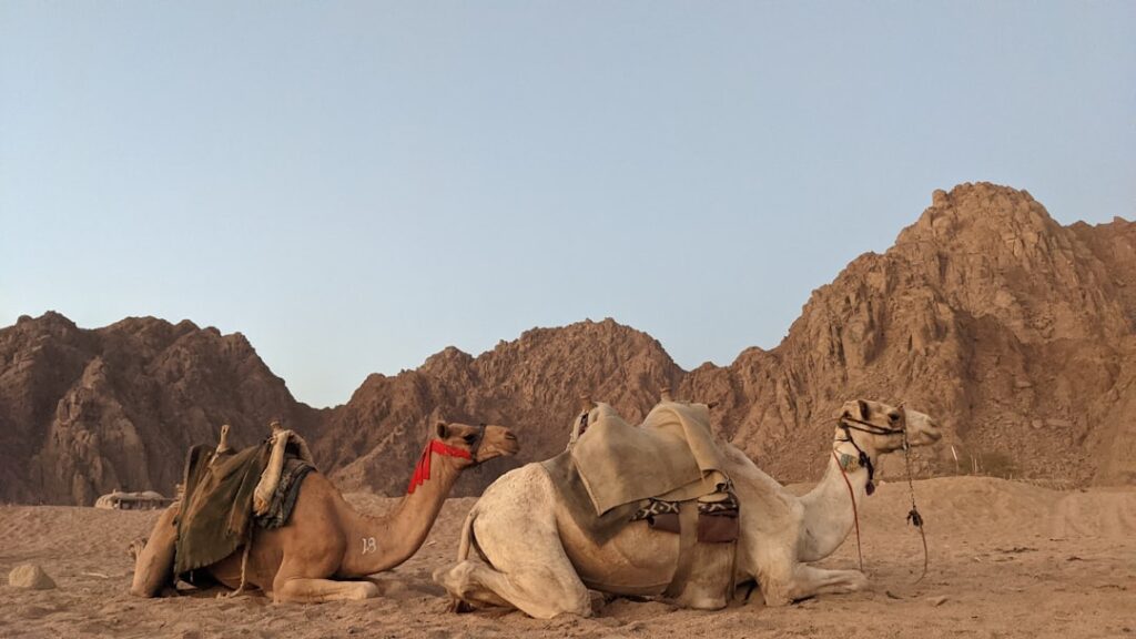 A scenic view of Fayum, Egypt