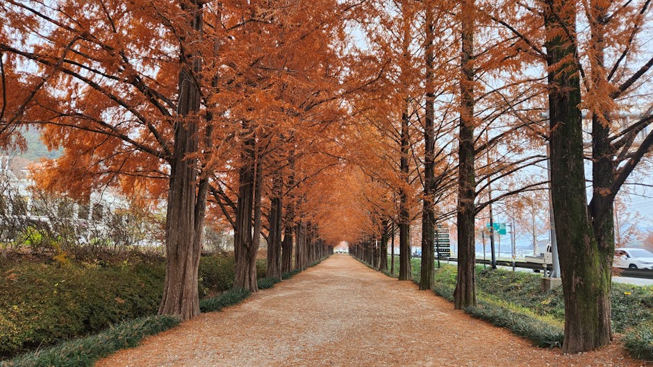A scenic view of Gwangju, South Korea