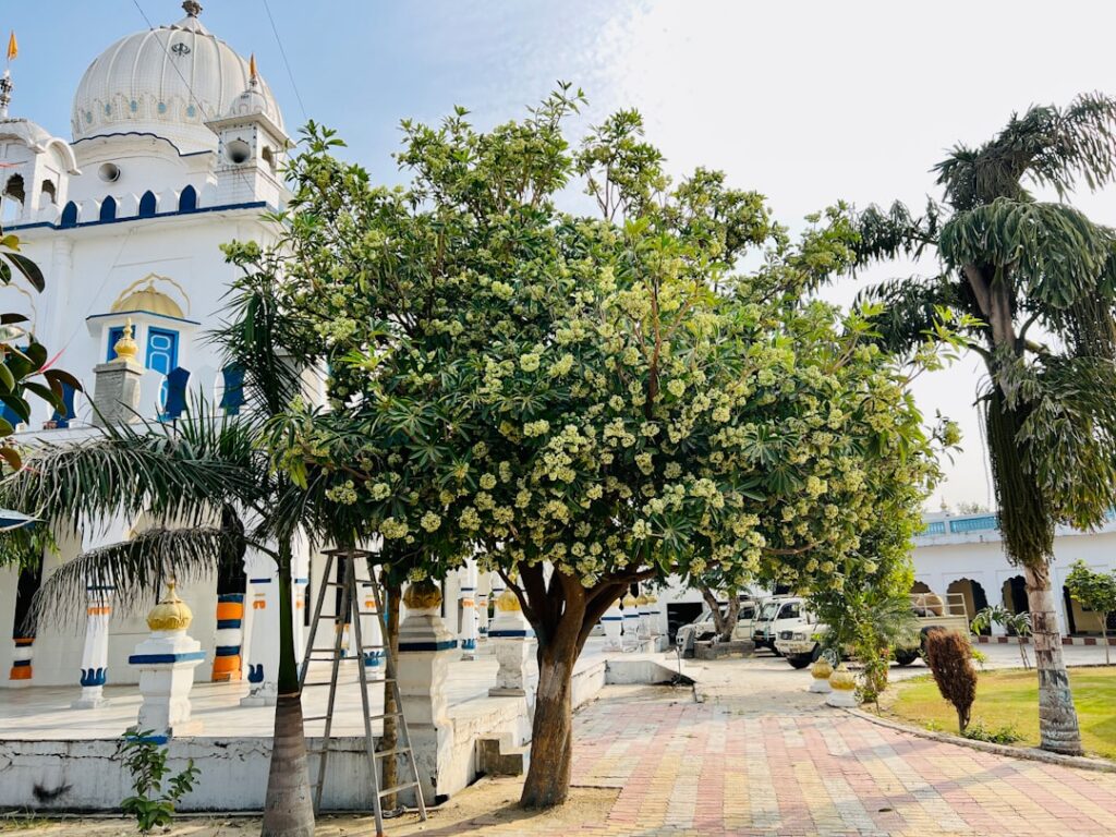 A scenic view of Jamnagar, India