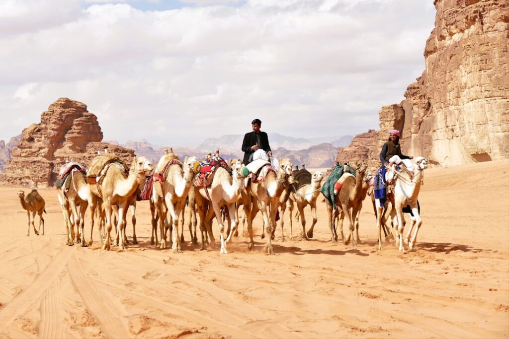 A scenic view of Nador, Morocco