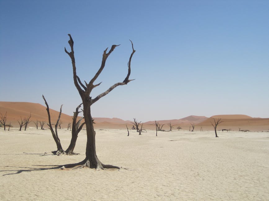 A scenic view of Orange, Australia
