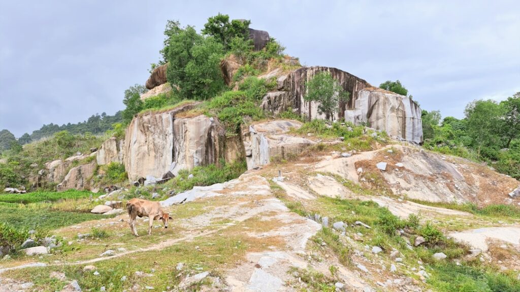 A scenic view of Siliguri, India