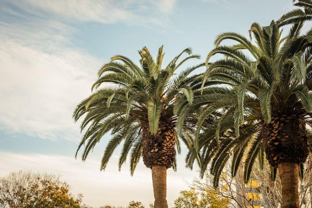 A scenic view of Sunnyvale, United States of America
