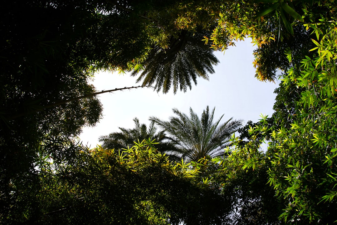 Marrakech: The Complete Travel Guide (2026)