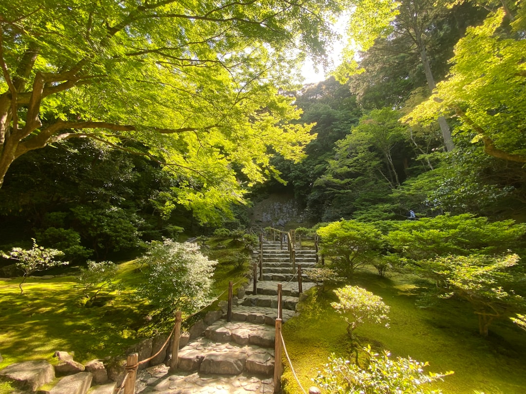 Kyoto: The Complete Travel Guide (2026)