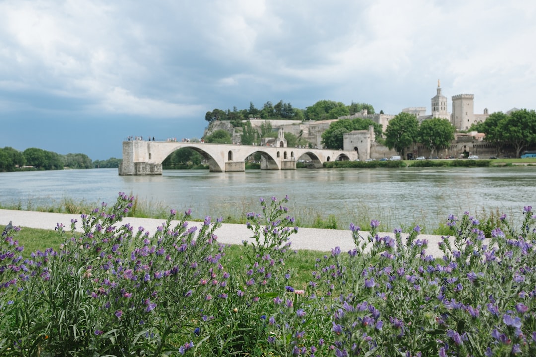 Avignon: The Complete Travel Guide (2026)