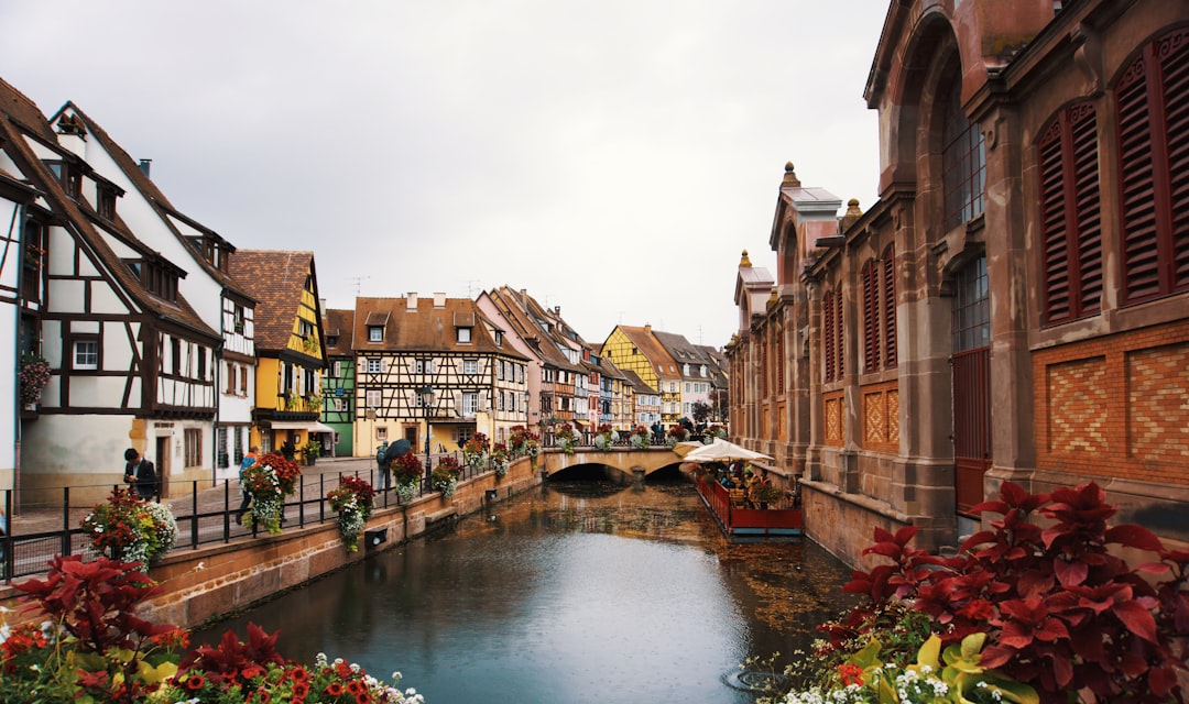 Colmar: The Complete Travel Guide (2026)