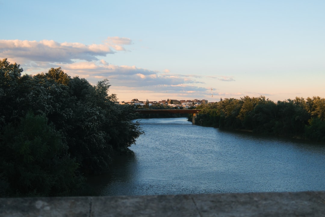 Córdoba: The Complete Travel Guide (2026)