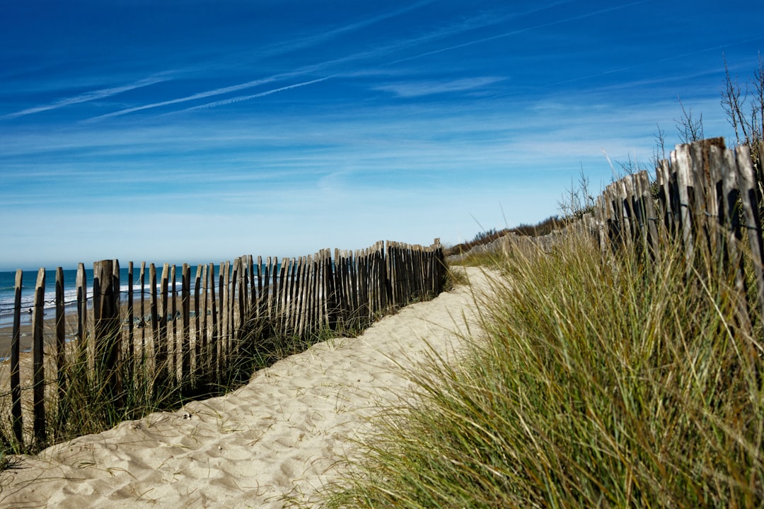 Île de Ré: The Complete Travel Guide (2026)
