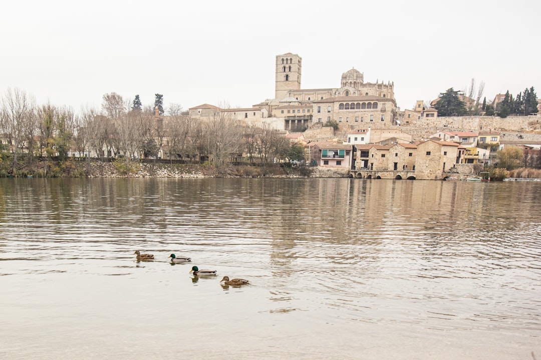 Zamora: The Complete Travel Guide (2026)