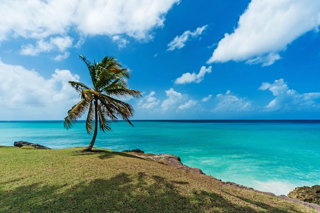 Barbados: The Complete Travel Guide (2026)