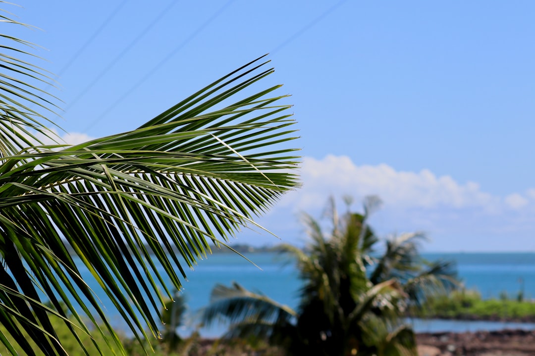 Samoa: The Complete Travel Guide (2026)