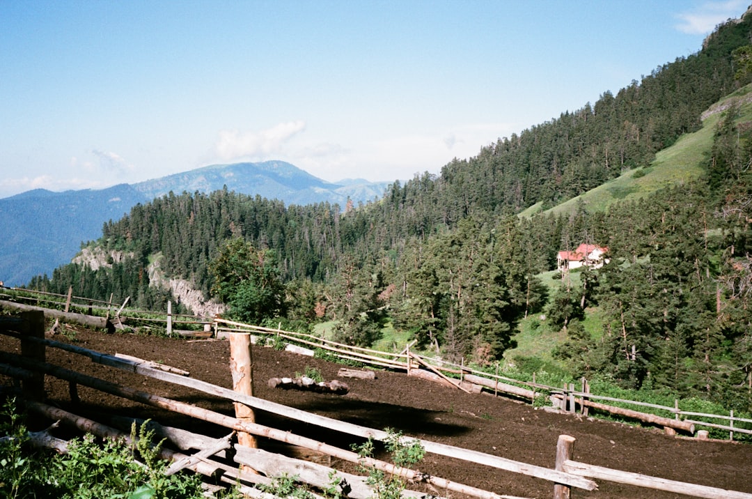 Borjomi: The Complete Travel Guide (2026)