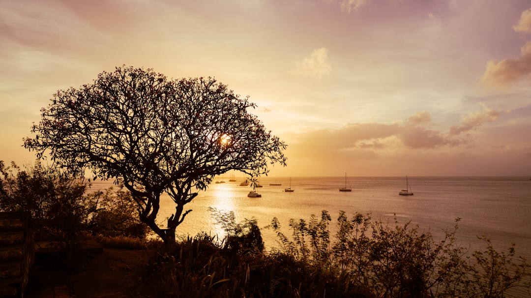 Grenada: The Complete Travel Guide (2026)