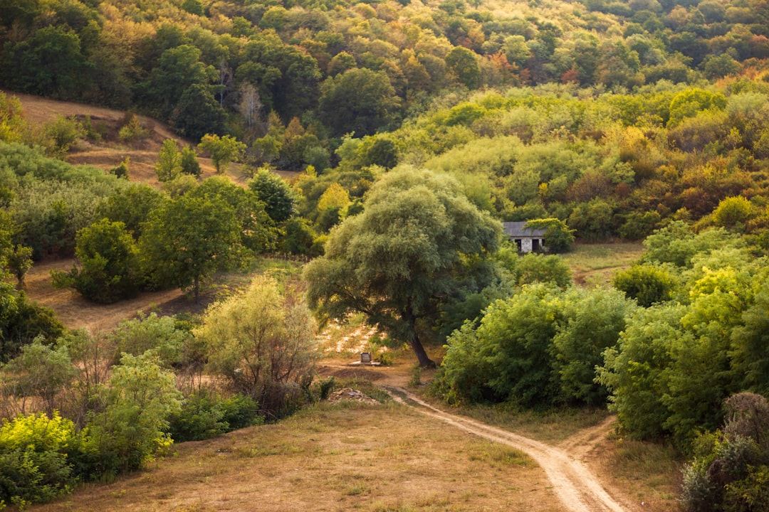 Moldova: The Complete Travel Guide (2026)