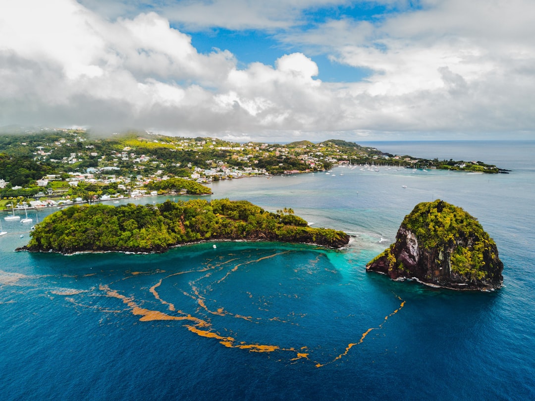 Saint Vincent and the Grenadines: The Complete Travel Guide (2026)