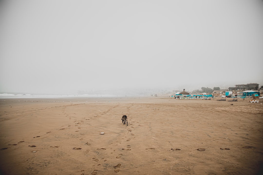 Agadir: The Complete Travel Guide (2026)
