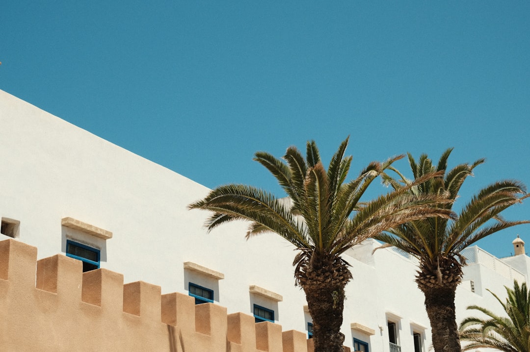 Essaouira: The Complete Travel Guide (2026)