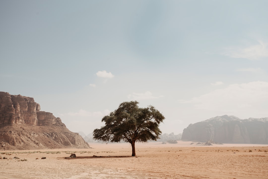 Fès: The Complete Travel Guide (2026)