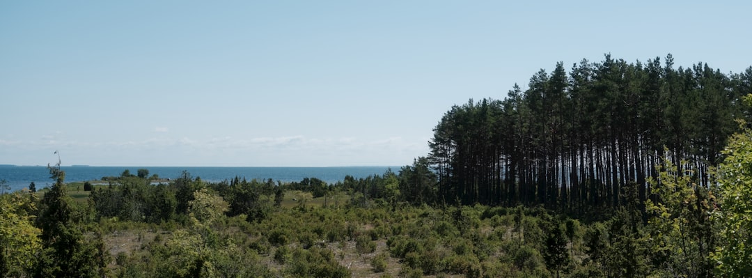 Hiiumaa: The Complete Travel Guide (2026)