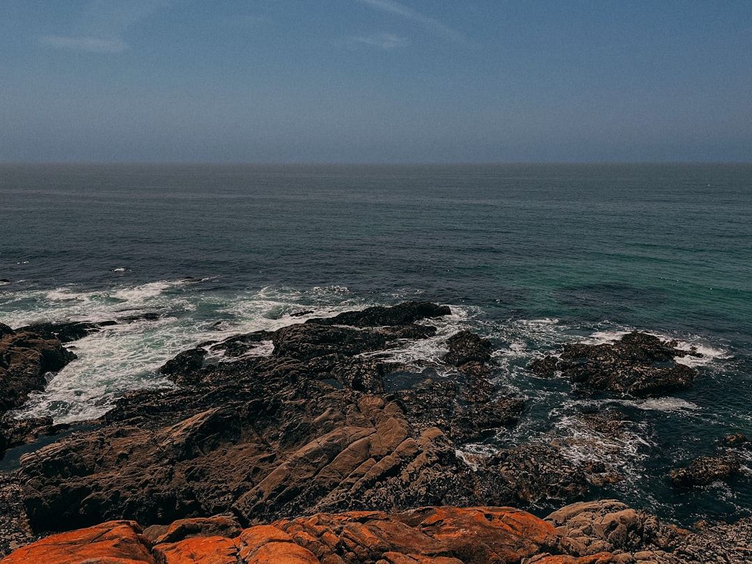 Matosinhos: The Complete Travel Guide (2026)