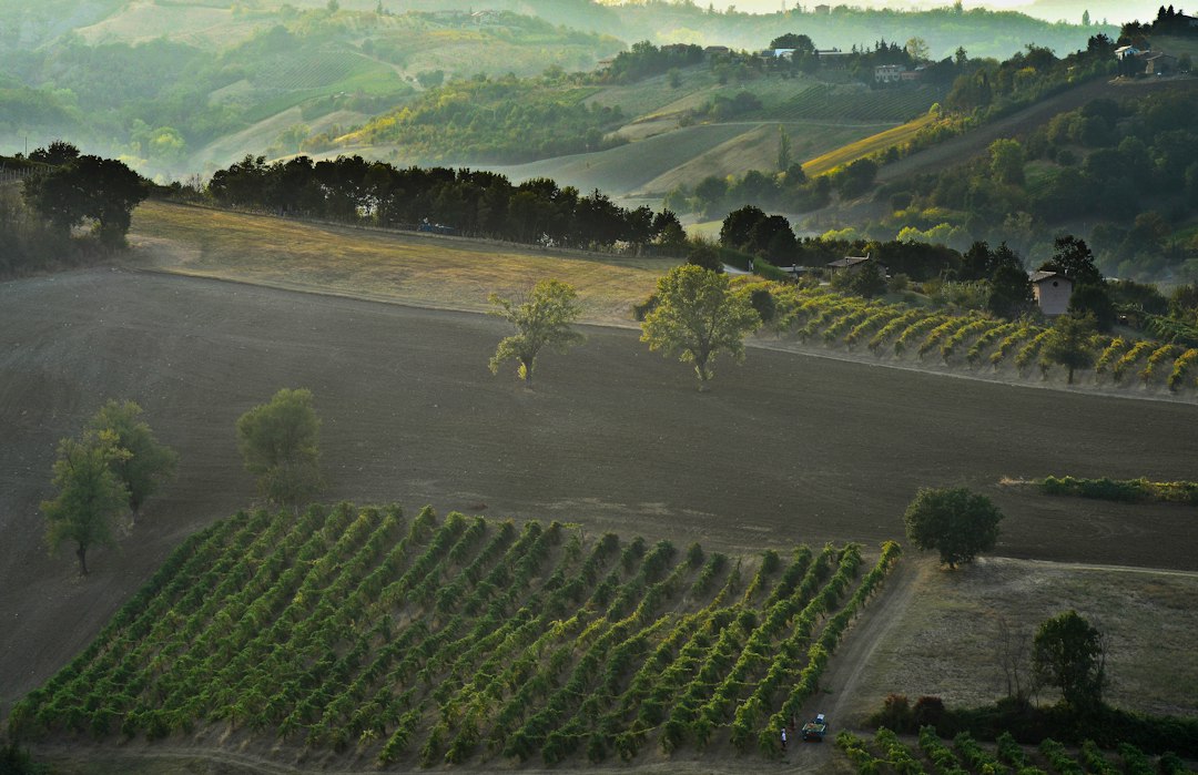 Modena: The Complete Travel Guide (2026)