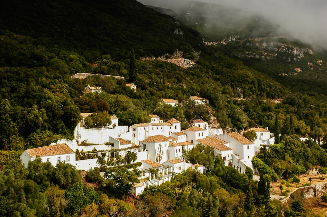 Setúbal: The Complete Travel Guide (2026)