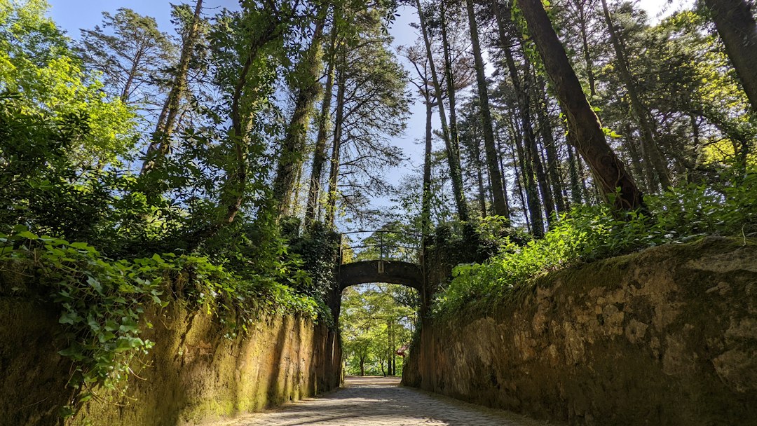 Sintra: The Complete Travel Guide (2026)