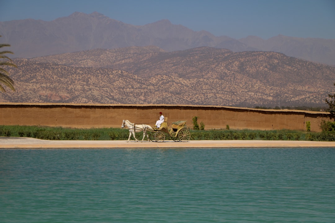 Taroudant: The Complete Travel Guide (2026)